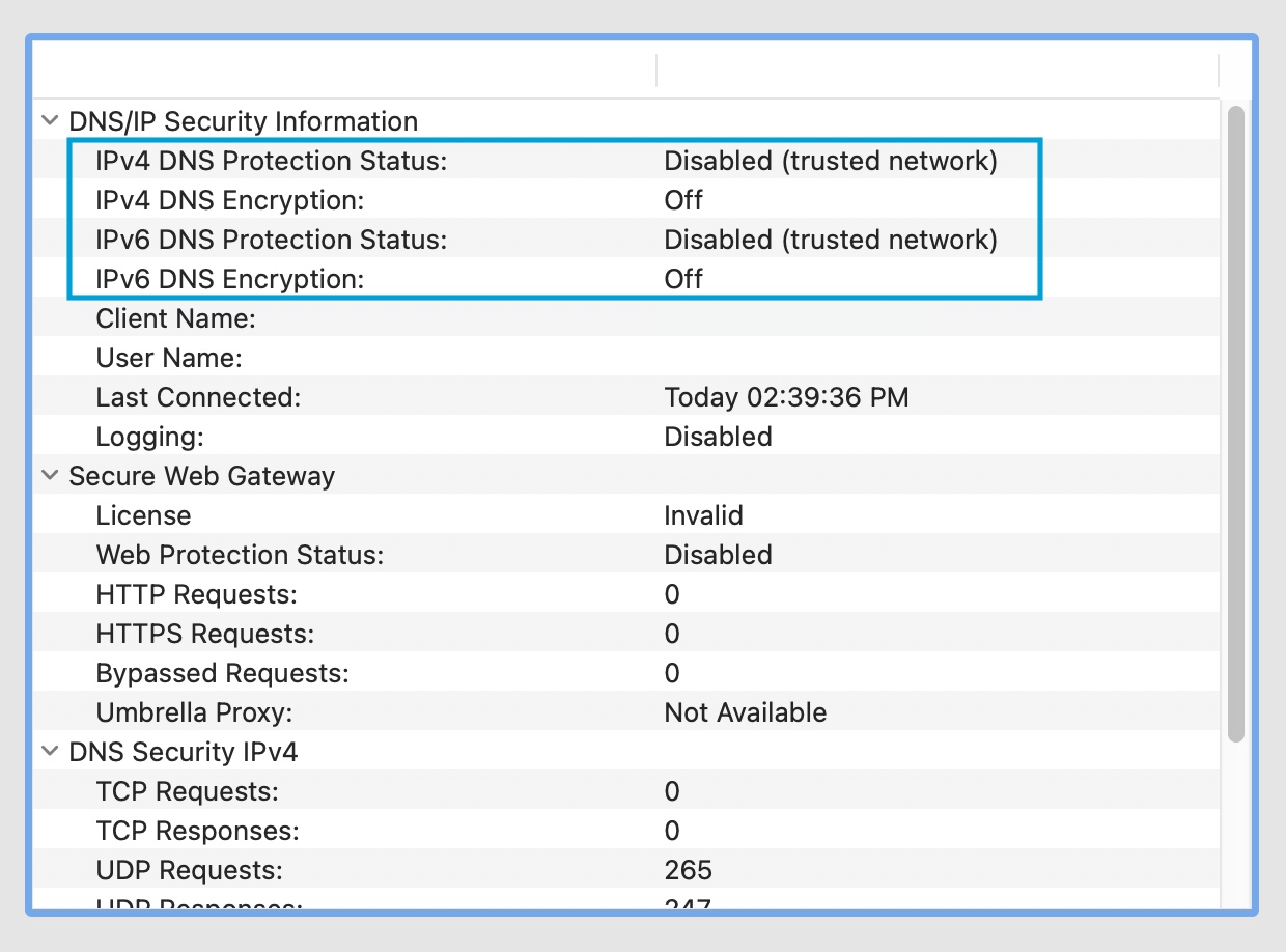 IPv4 and IPv6 DNS Protection Status