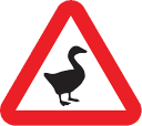 goose warning