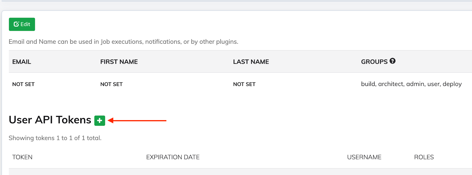 rundeck-actions-user-api-token.png