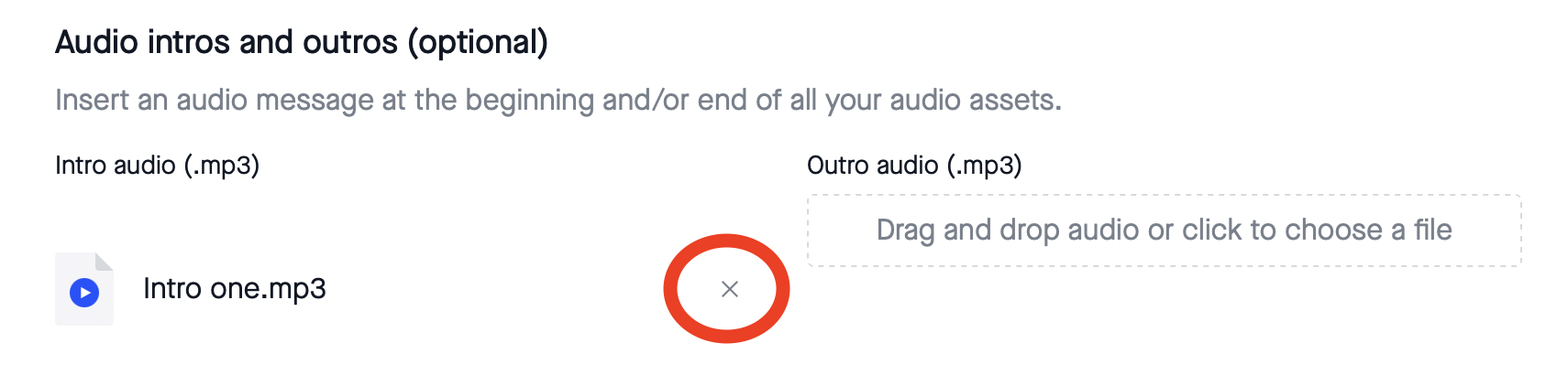 Remove an intro - SpeechKit Settings.png