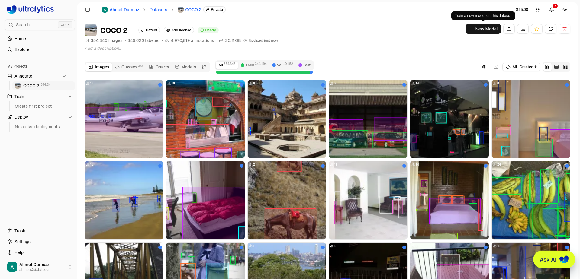 COCO dataset page on Ultralytics Platform in Ready state, showing 354,346 images, annotation counts, storage size, split figures, and a grid of annotated images.