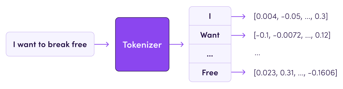 Tokenizer And Tokenization 6094