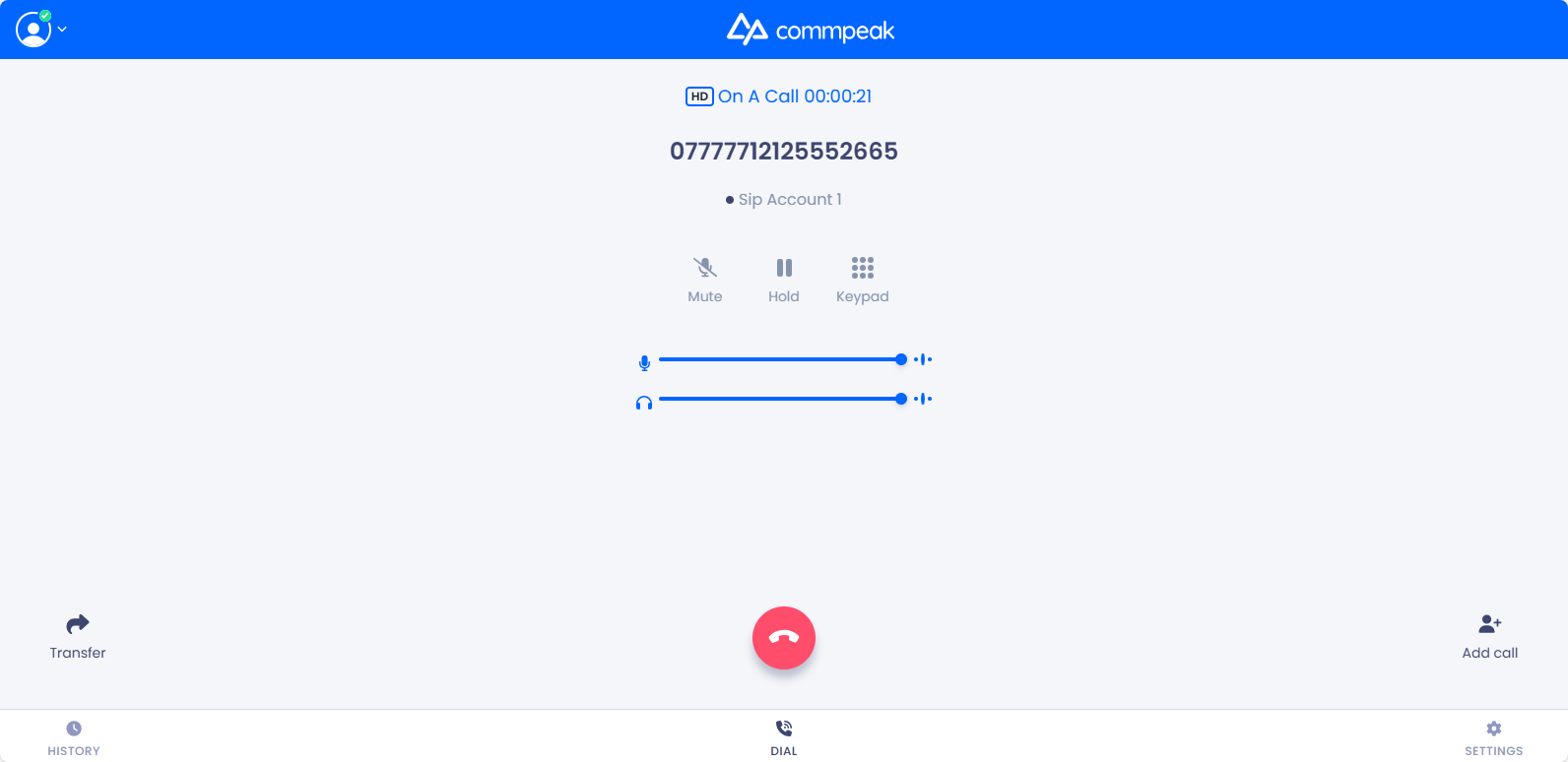 Screenshot of the echo test in progress