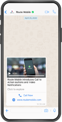 WhatsApp chat mockup with Call Now and website call-to-action buttons under a video message