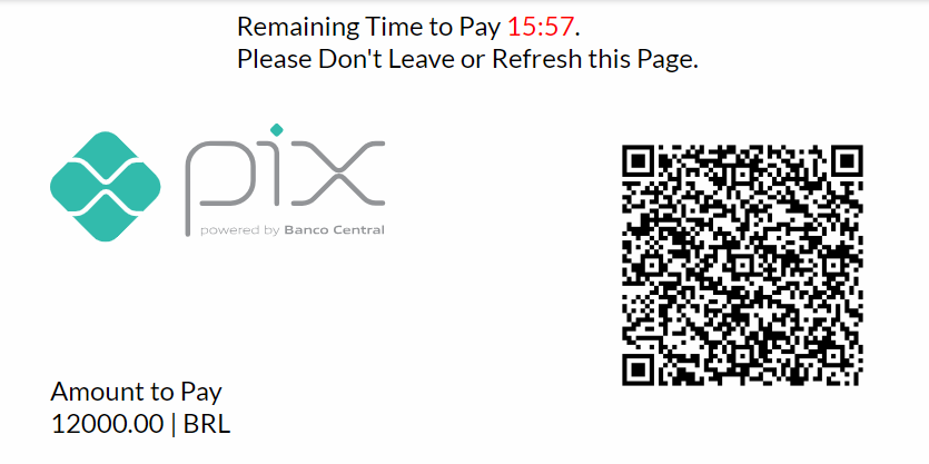 Pix redirect QR code and timer