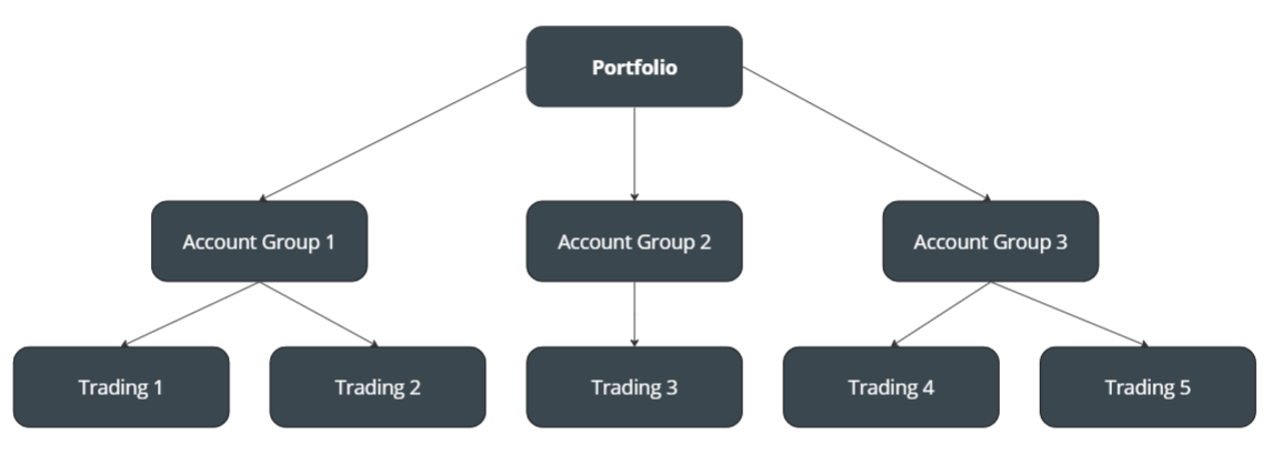 Connect Portal account hierarchy