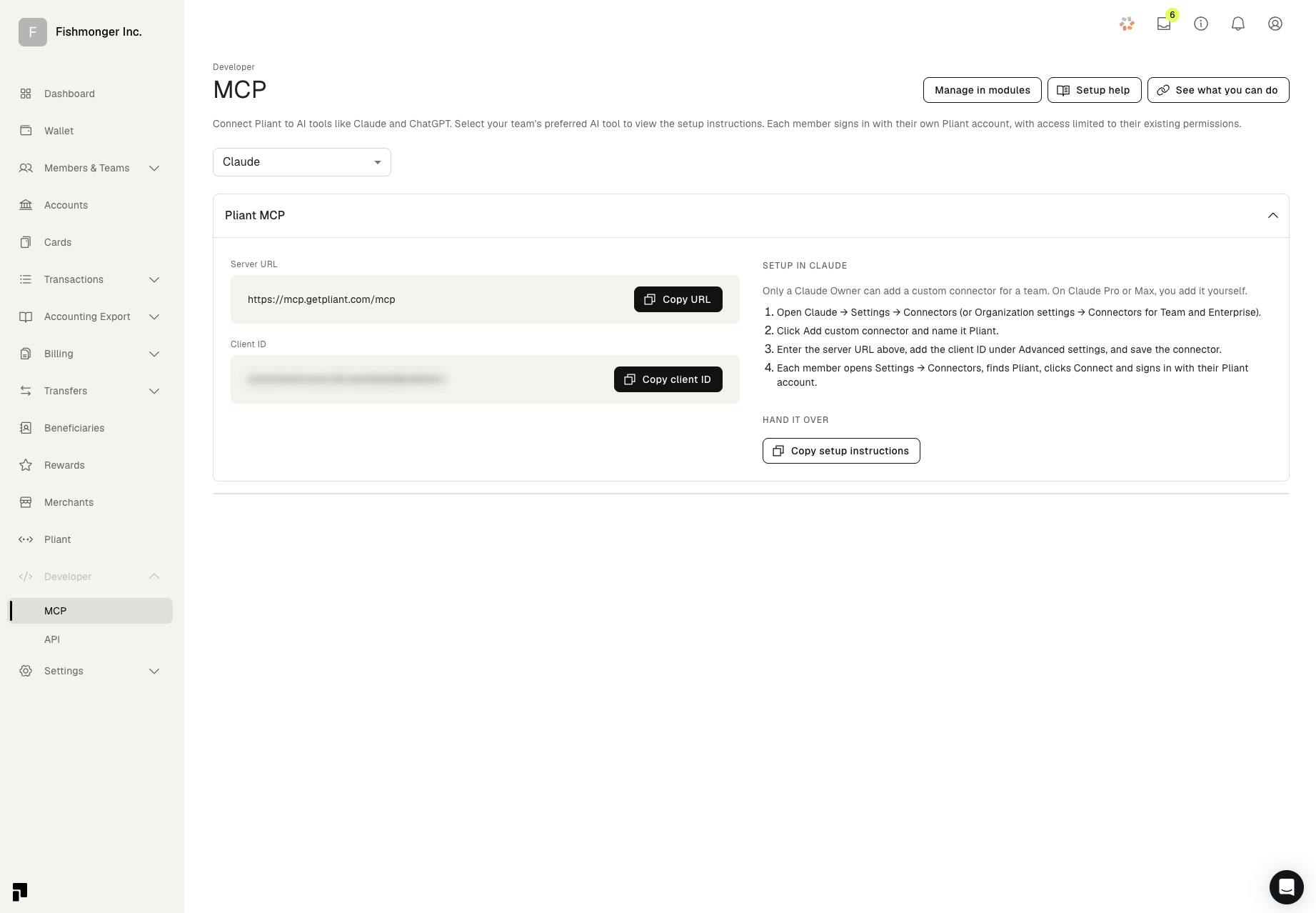 The Developer > MCP page in Pliant