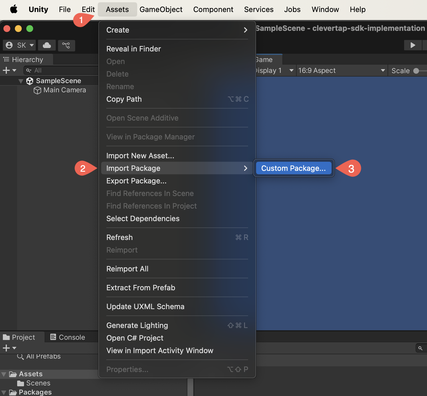 Import the Unity Package