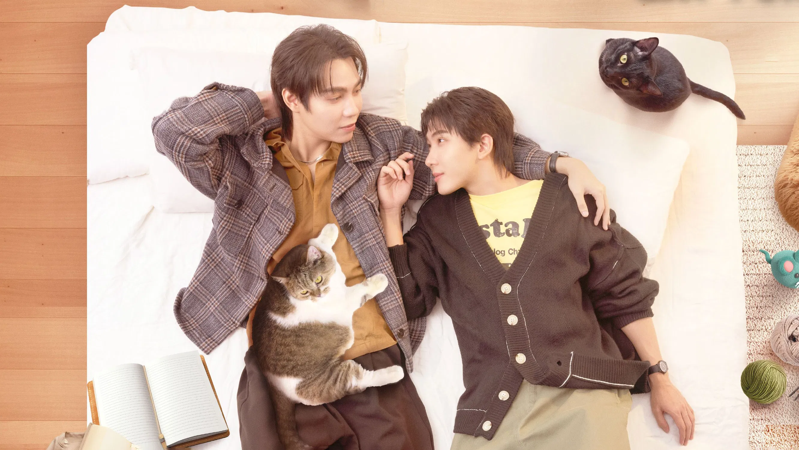 🐱 เปย์รักด้วยแมวเลี้ยง EP 9 ดูฟรี UNCUT VER พากย์ไทย HD