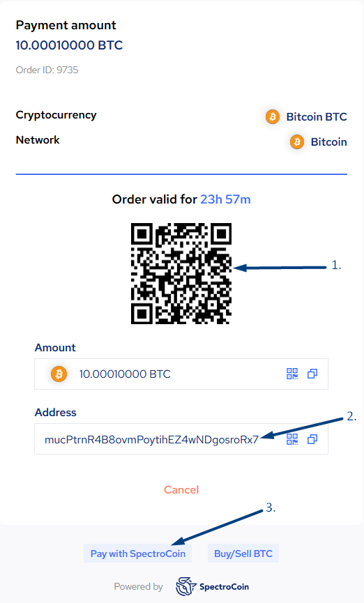 Different ways of how to pay a SpectroCoin merchant order.