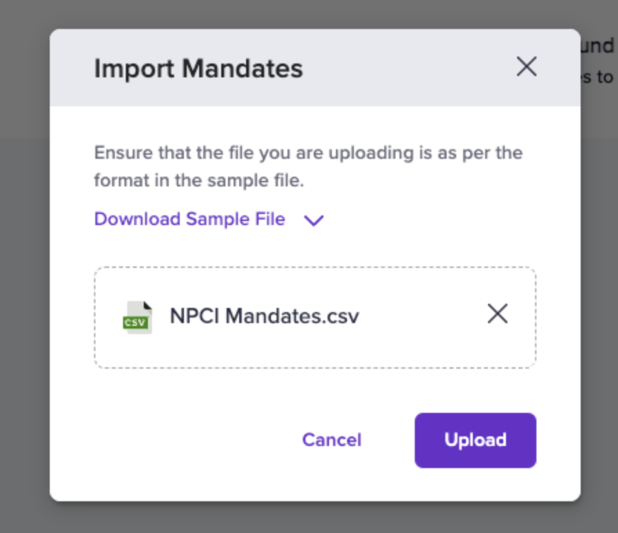 Importing Mandates via Dashboard Step 3