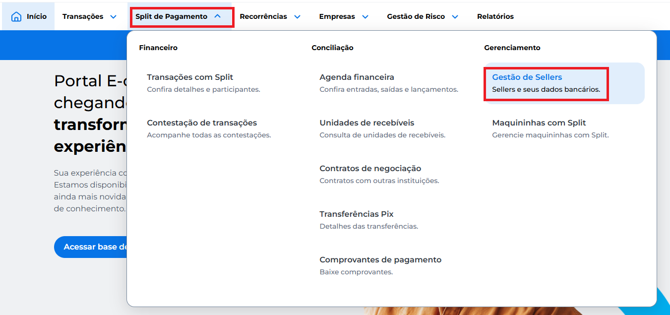 Tela inicial com o menu de gerenciamento e o sub-menu gestão de sellers