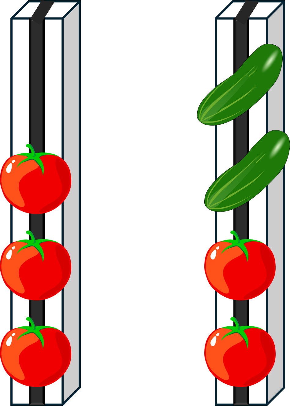 Illustration de plantation des légumes d'été en tour : le dernier pied de tomate doit impérativement se trouver en bas de la matrice du haut. Sinon il peut être remplacé par des Cucurbitacées.