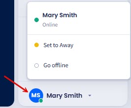 Screenshot with the status options