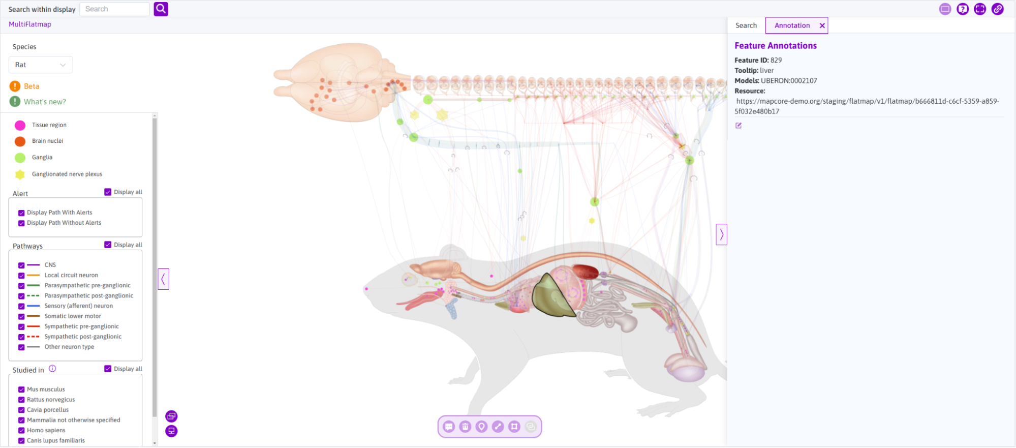 The Rat Flatmap with an annotation sidebar for a selected anatomical feature.