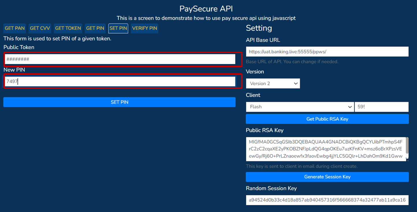 PaySecure API screen: entering entering public token and PIN