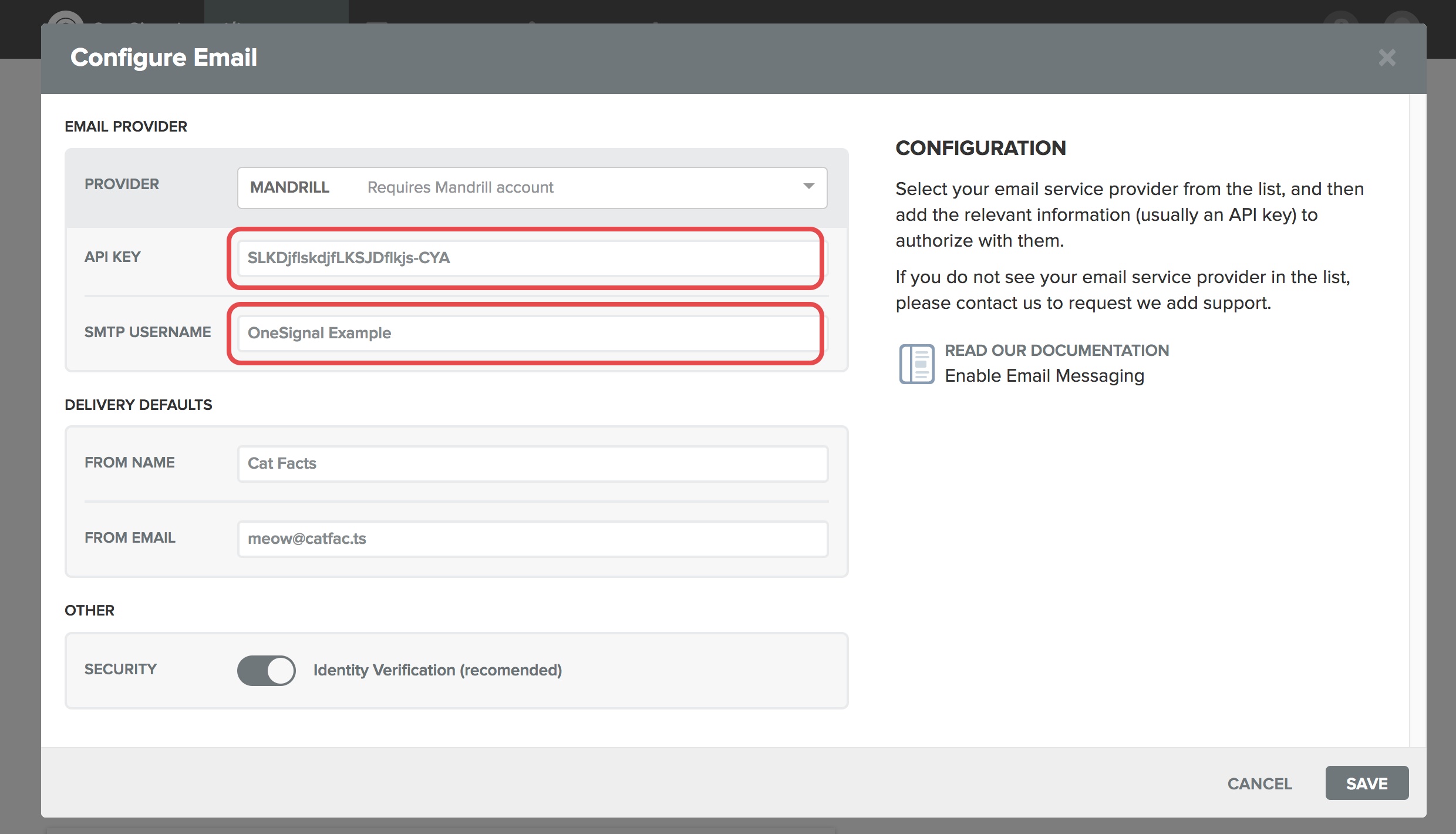 settings-platforms-email-mandrill.jpg