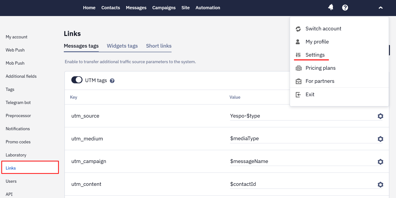 Settings Links section in Yespo account for global UTM tag configuration