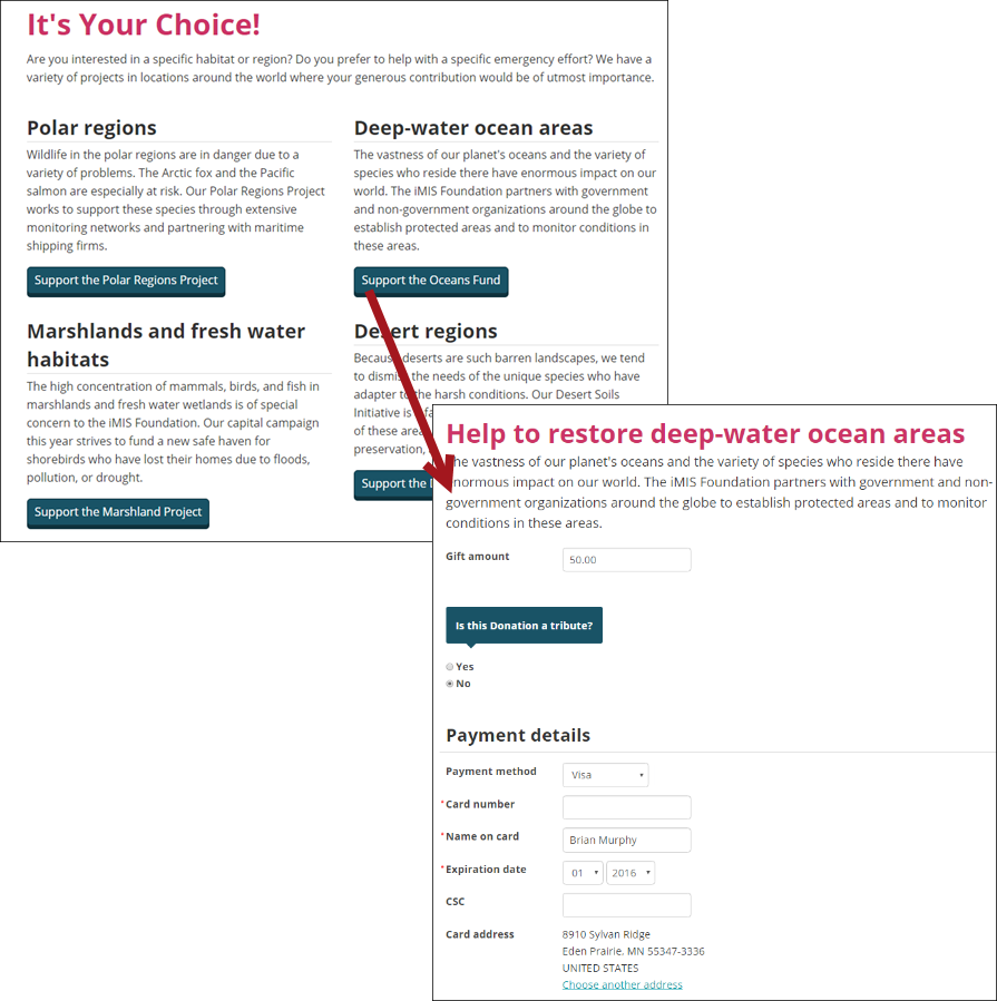 Donate landing page