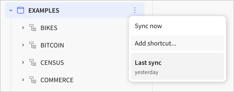 More menu options for database objects from a connected data warehouse, showing add shortcut and sync now.