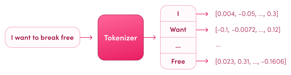 Tokenizer & Tokenization