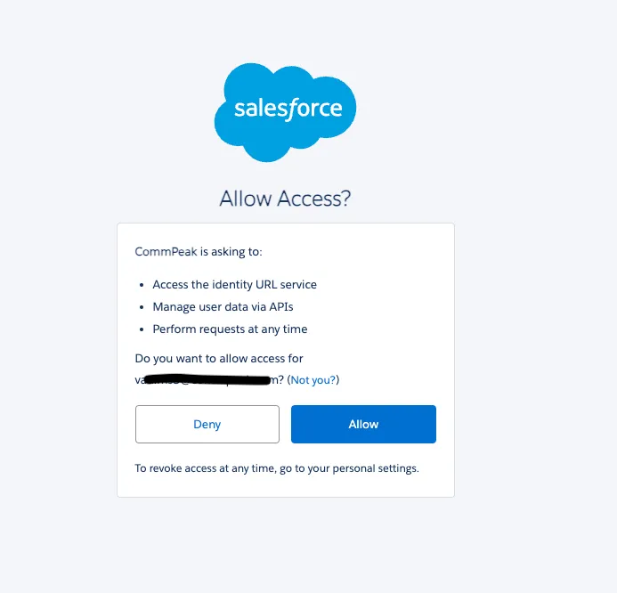 Screenshot with Salesforce authorization