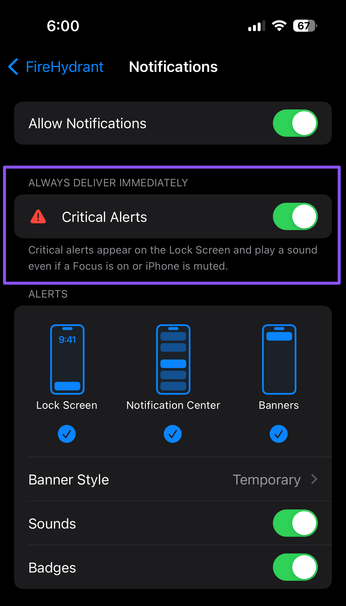 Critical Alerts setting on iOS devices