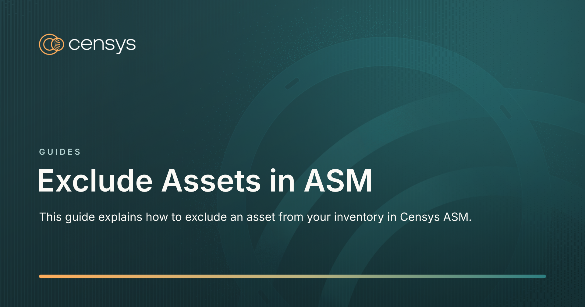 Exclude Assets