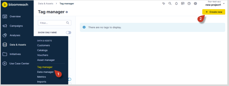 Bloomreach Engagement Tag Manager interface with Create new button highlighted