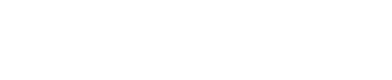 NGP VAN