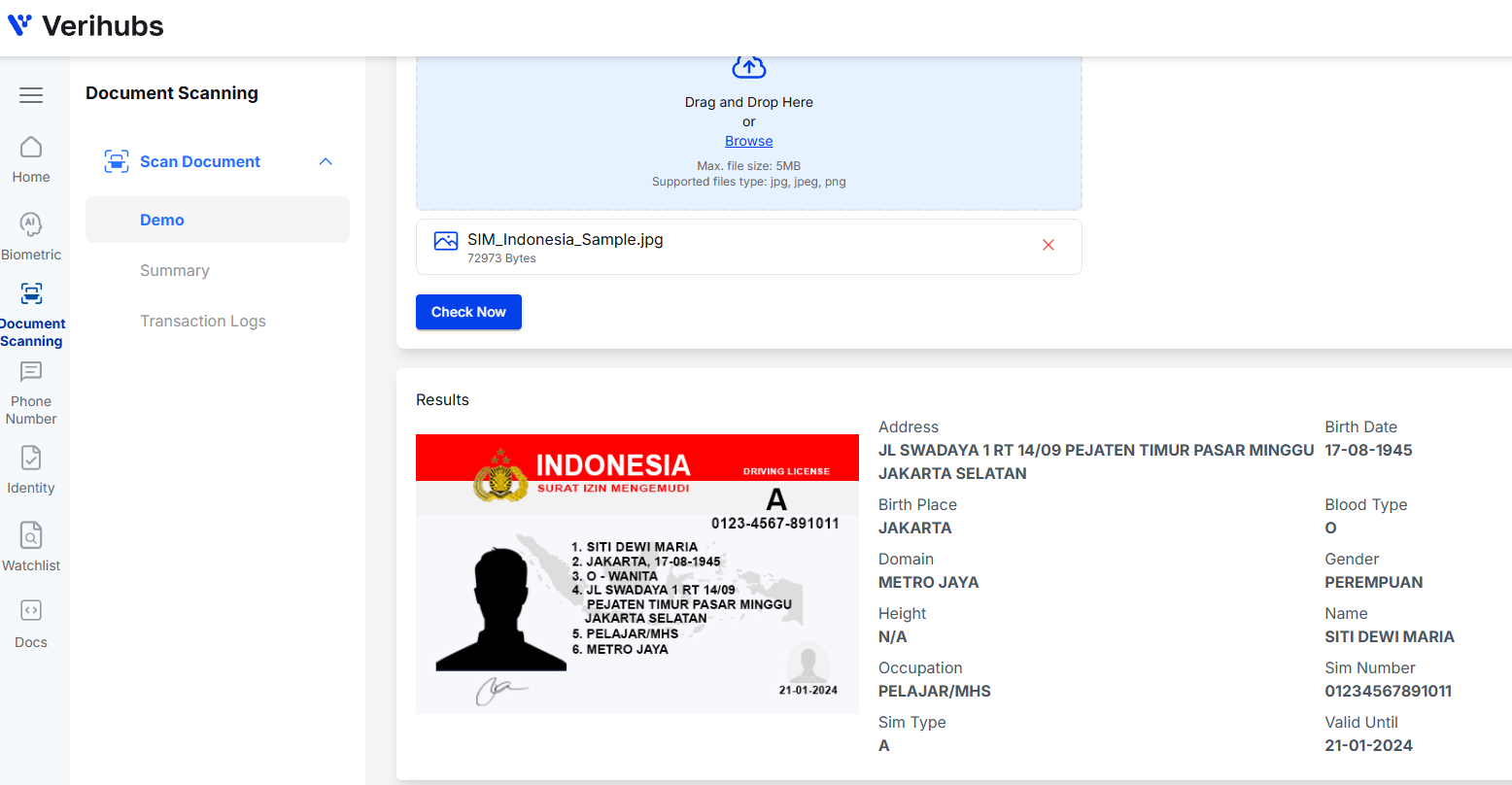 DEMO Document Scanning Result