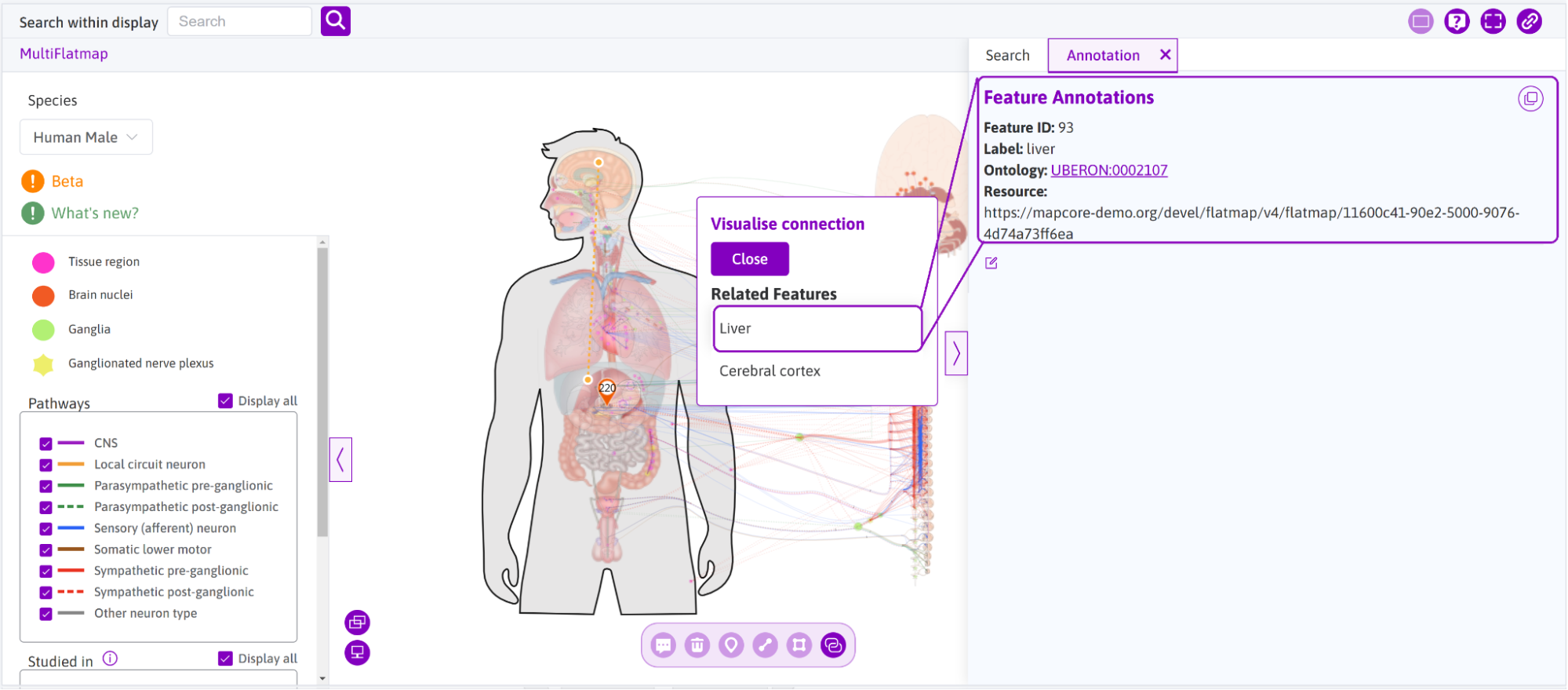 **Figure 9:** Clicking on the Related Feature, opens the sidebar in annotation view displaying feature annotations.