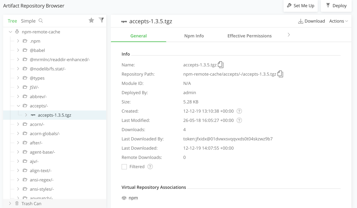 build in artifactory repo browser.png
