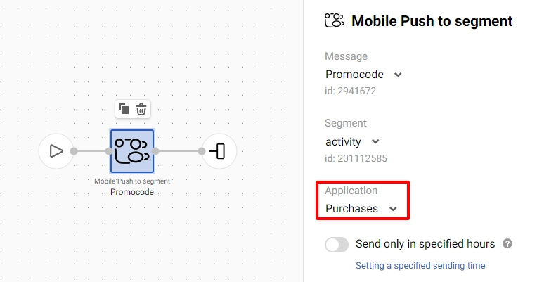 Mobile Push to segment parameter: Application