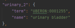 Figure 24: Extracted from the anatomical_map.json file, the urinary_2 class represents the urinary bladder and has the appropriate term associated.