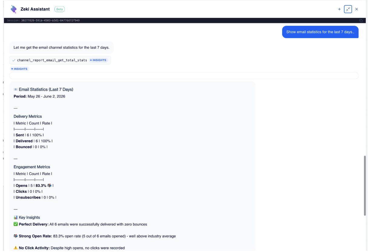Use Zeki Assistant to quickly retrieve and summarize performance metrics without navigating to reporting screens. The assistant presents key delivery and engagement statistics in an easy-to-understand format.