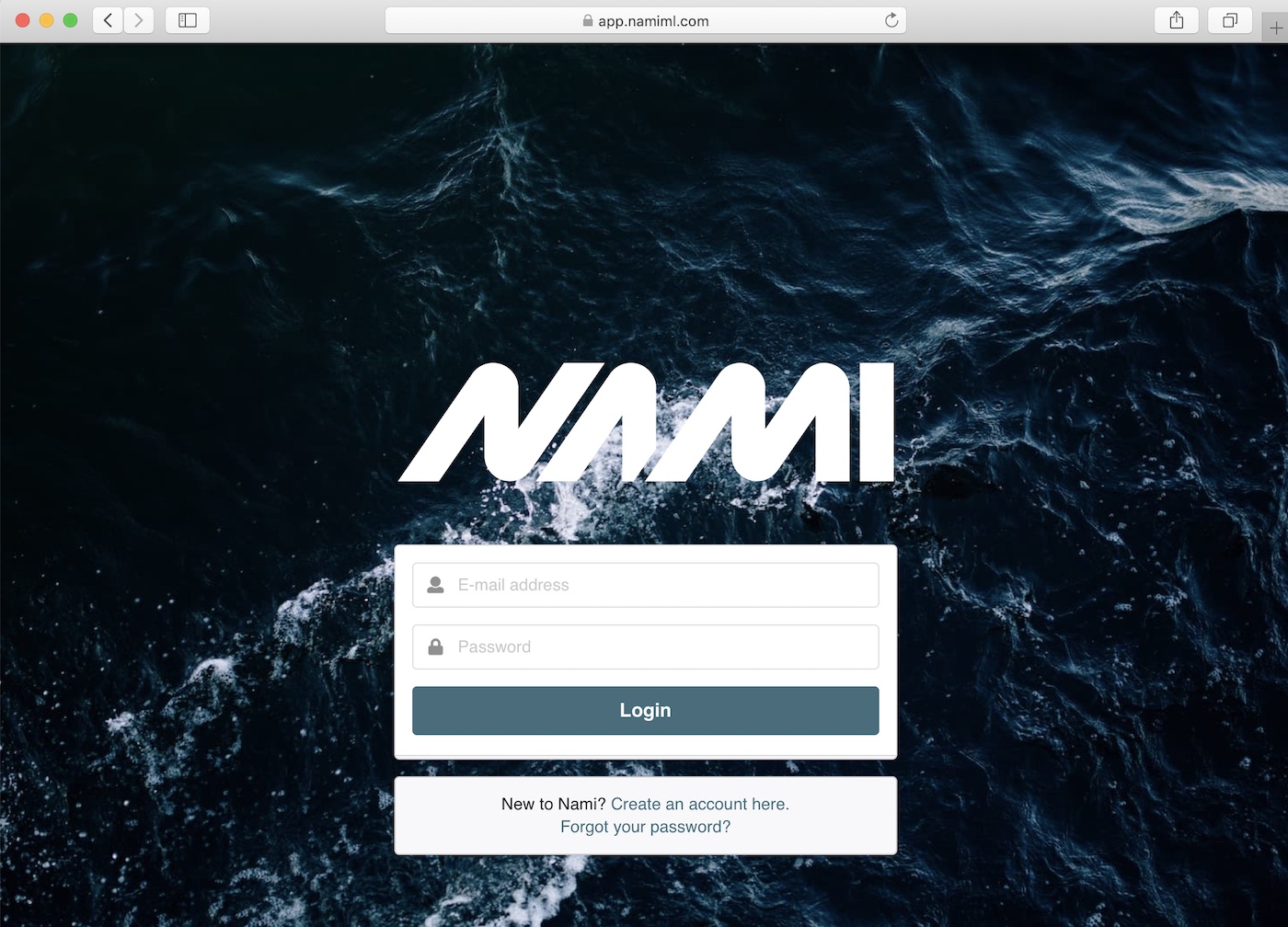 Nami.PlatformID.1.jpg