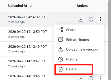 Delete a single file option