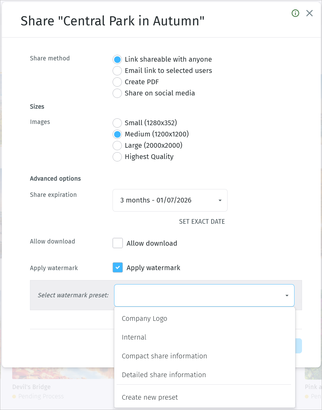 Watermark presets