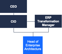 Typical reporting structure in ERP transformation