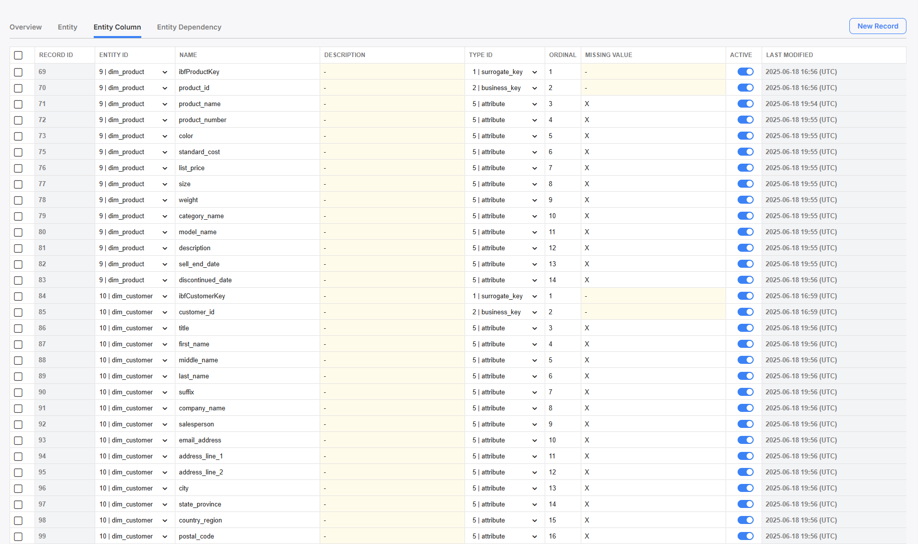 Setting up Entity Columns for each Entity.
