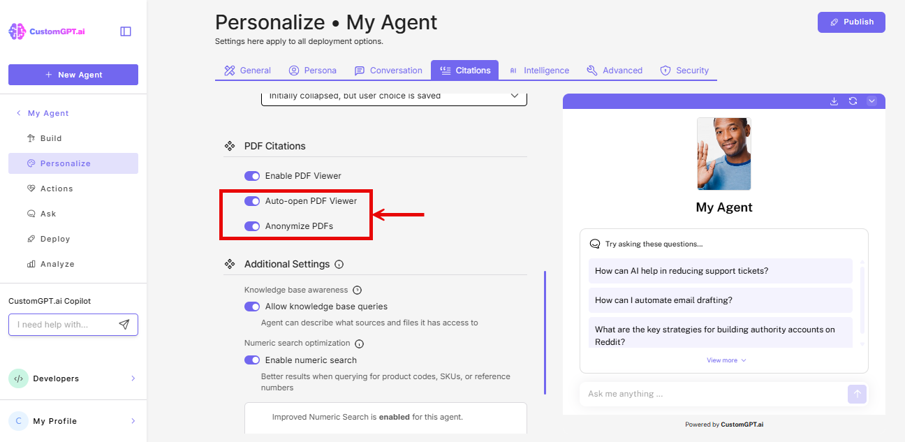 auto-open pdf viewer and anonymize pdf toggle