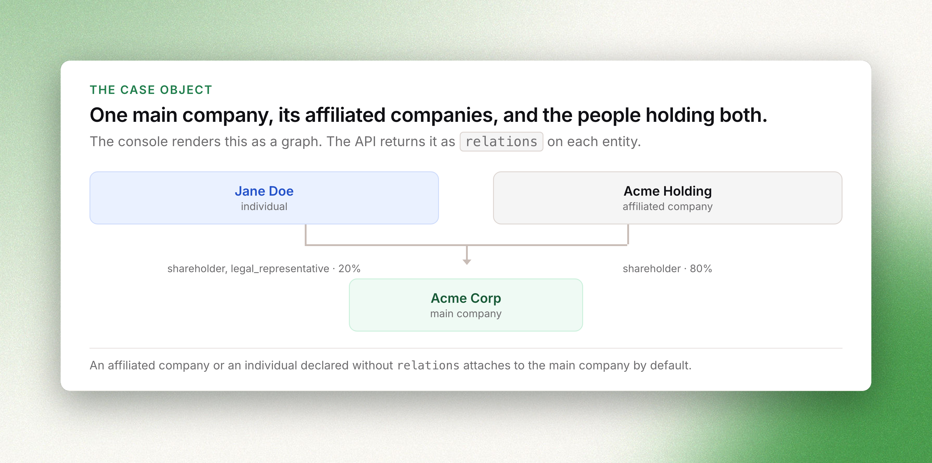 Jane Doe (shareholder and legal representative, 20%) and Acme Holding (shareholder, 80%) both relate to Acme Corp, the main company
