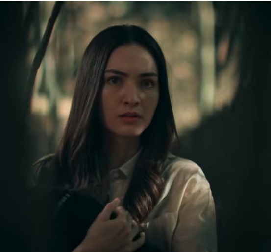 the-devil-black-cat-2026.readme.io