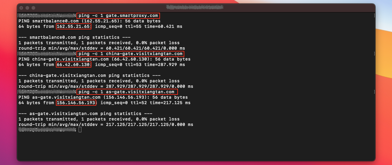 ping-terminal.png 1291