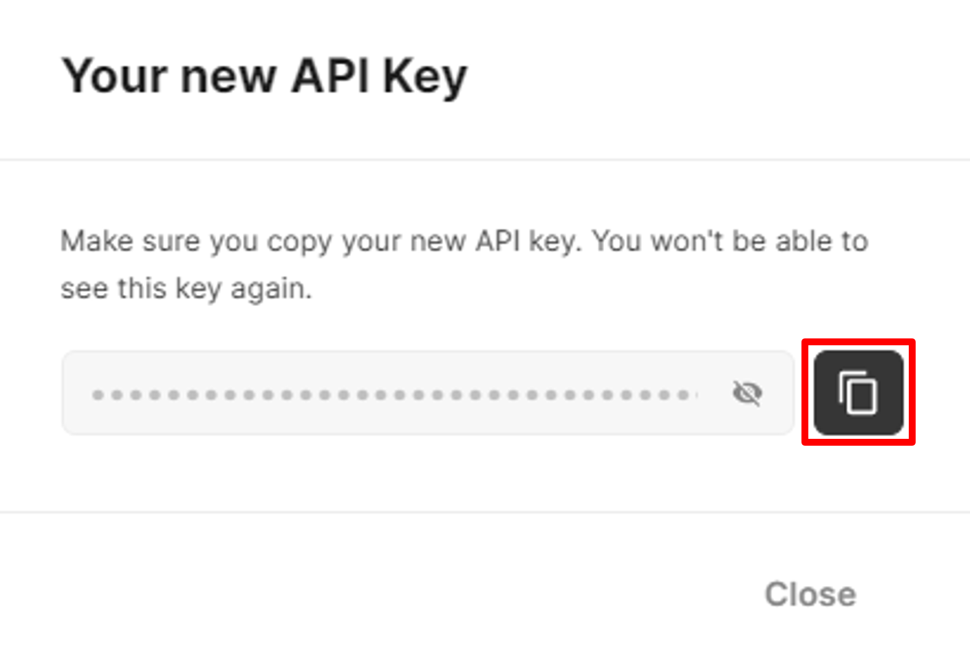 Save the API key
