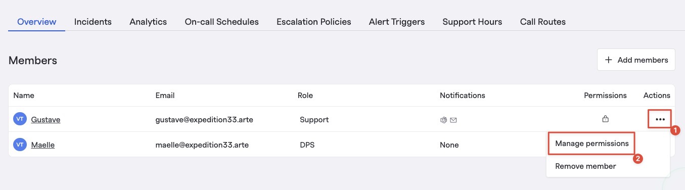 Managing individual team members' permissions