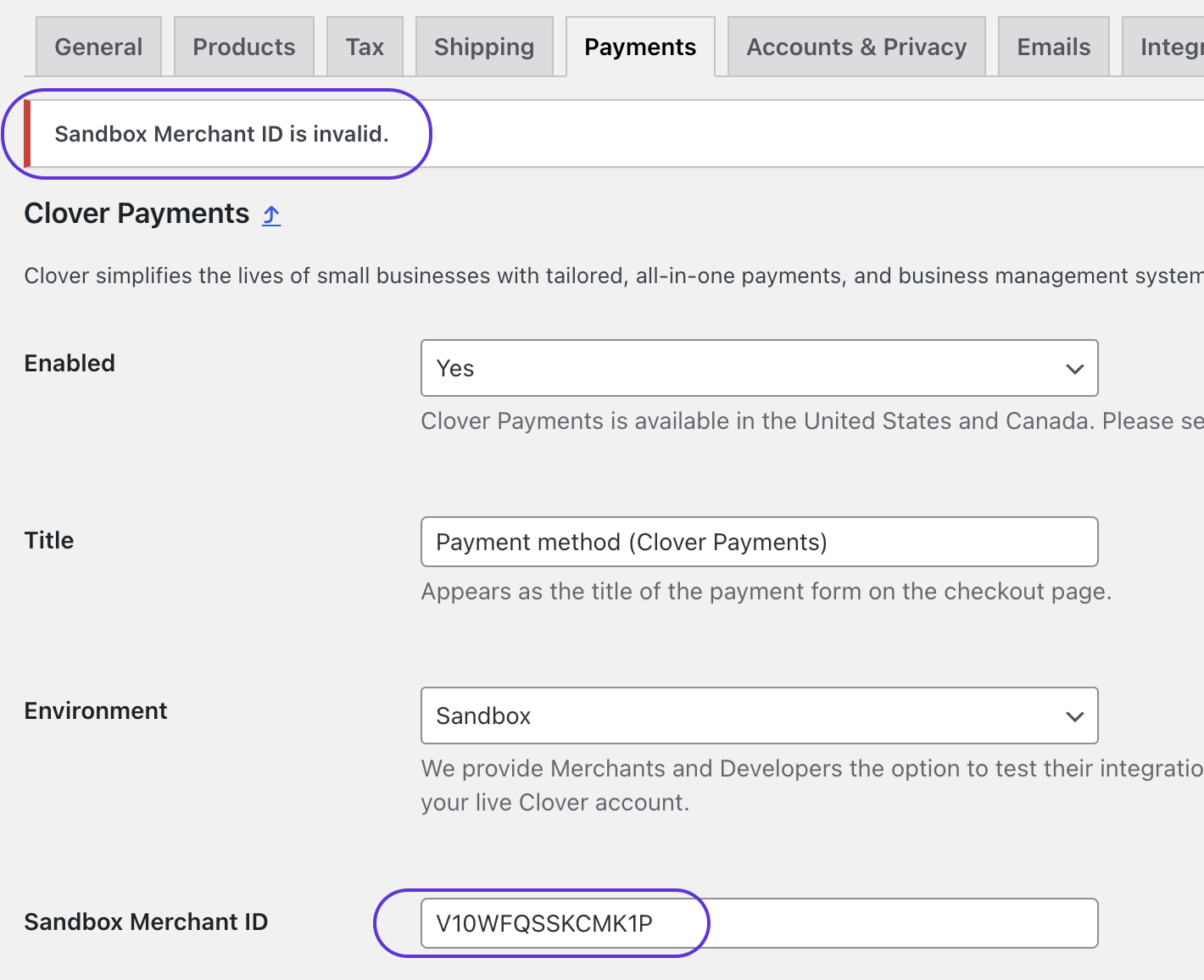 WooCommerce Admin Settings: Payments tab