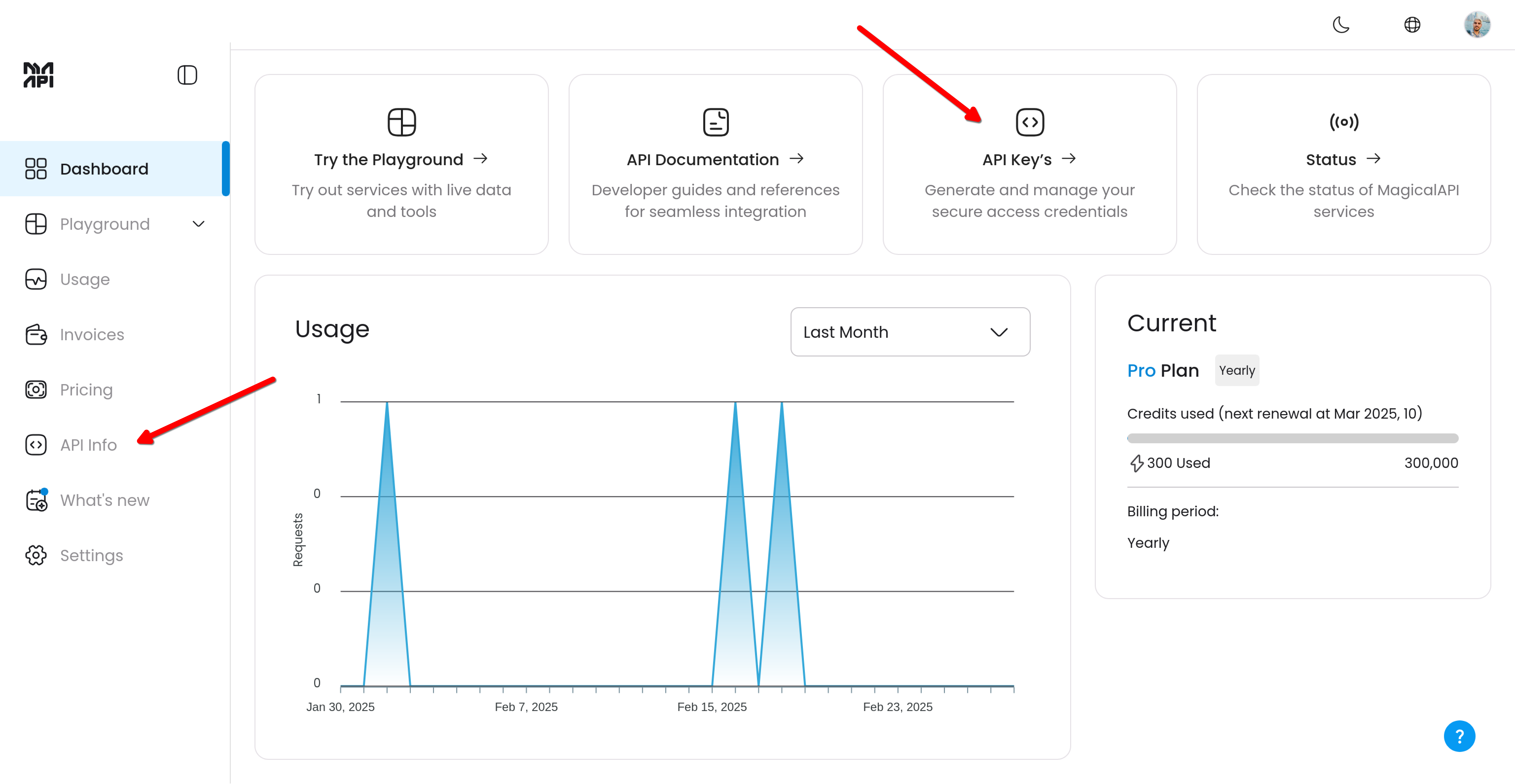 MagicalAPI User Dashboard