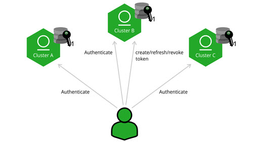 Cross instance authentication
